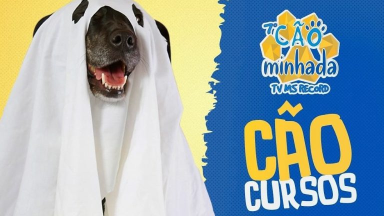 A Prefeitura Municipal de Campo Grande, por meio da Subsecretaria do Bem-Estar Animal (SUBEA), em parceria com a rede de TV MS, afiliada à Record, realiza uma ação de arrecadação de ração dentro do evento '7ª Cãominhada'