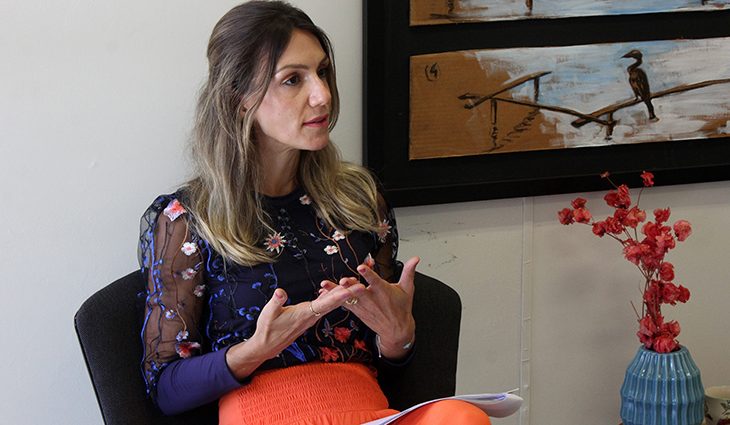 Sob coordenação da consultora legislativa Ana Carolina Ali Garcia, a equipe com outros quatro servidores está debruçada sobre os documentos
