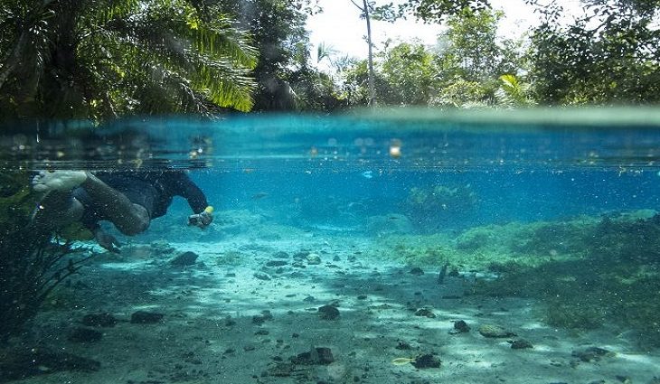 As atividades turísticas foram duramente afetadas pela pandemia do coronavírus, que já dura quase um ano