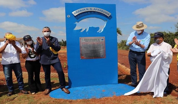 Granja em Dourados usa ração líquida e novas tecnologias da Suinocultura 4.0