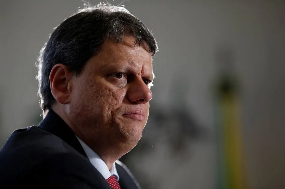 'A gente estuda mal e, de repente, oferece um produto ruim para o órgão de meio ambiente analisar. É um aprendizado para nós', disse Freitas ao Estadão