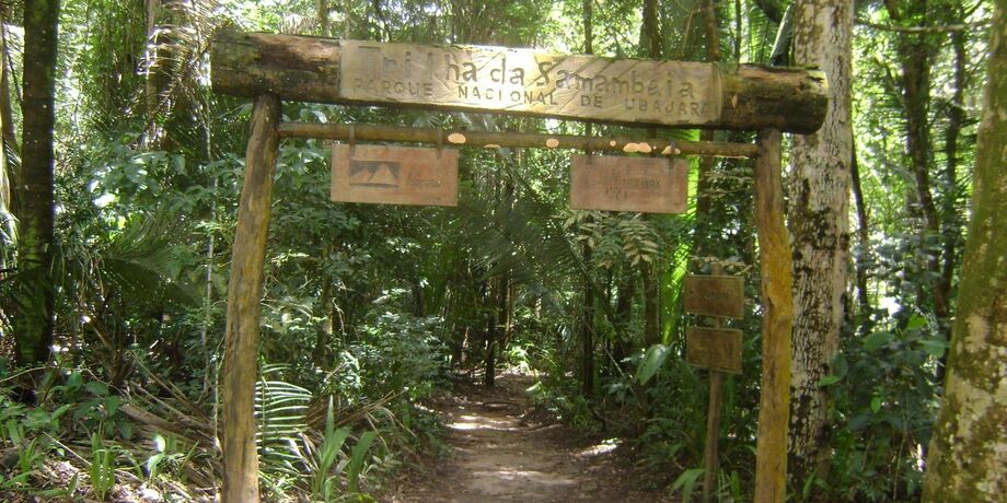 Parque Nacional de Ubajara, no Ceará, está incluso nos estudos