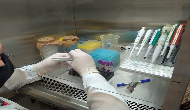 Projetos foram selecionados em edital lançado pela Fundect e serão desenvolvidos neste primeiro semestre