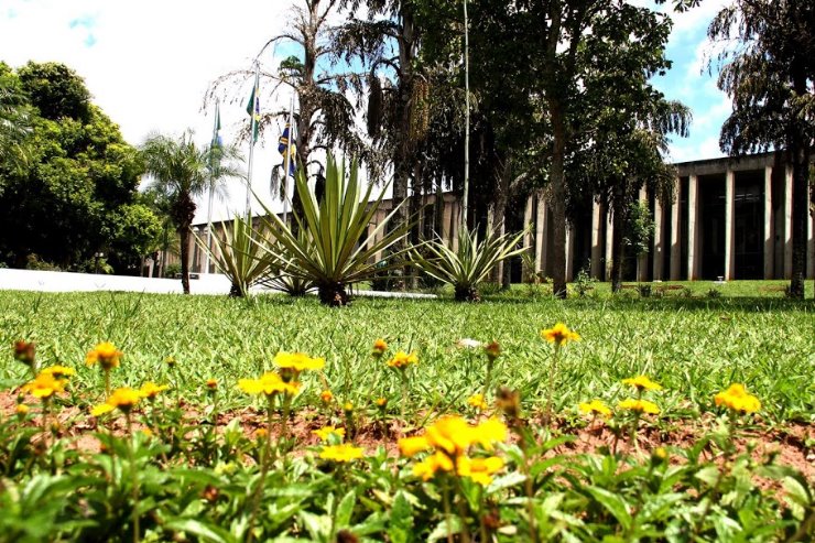 O destaque da semana é a sessão solene virtual alusiva ao Dia da Mulher