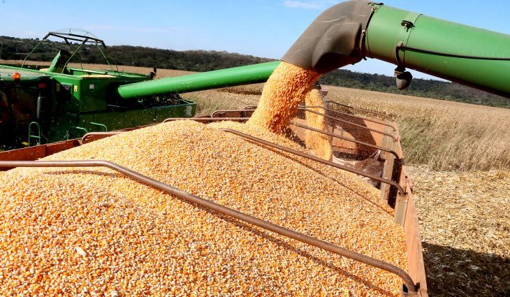 A expectativa é positiva para produção de soja neste ano, em Mato Grosso do Sul
