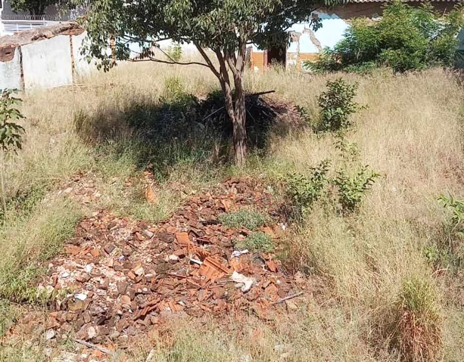 Terreno baldio na Vila Progresso é motivo de incomodo aos moradores