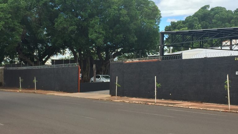 Projeto Via Verde realiza plantio de cinco mil novas árvores em Campo Grande