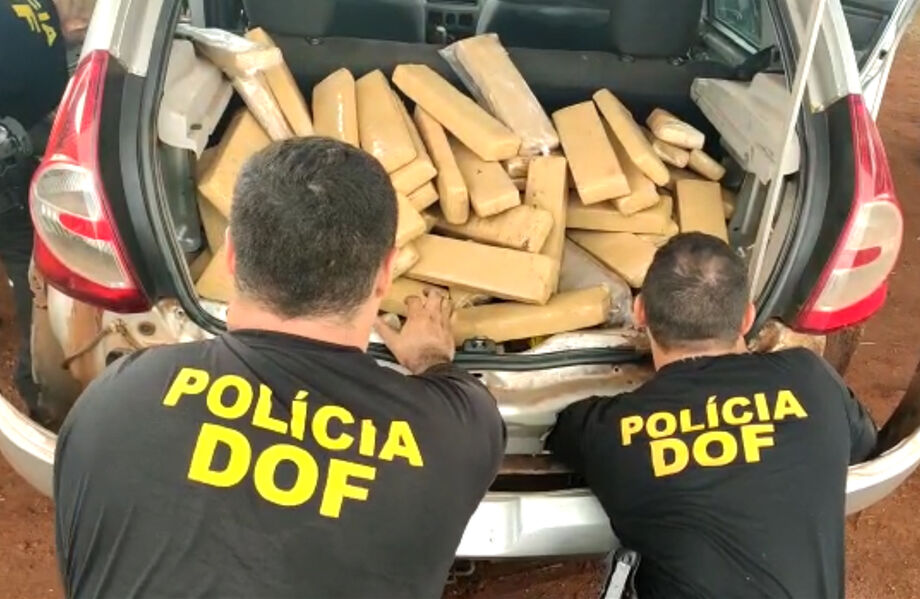 As drogas foram apreendidas
