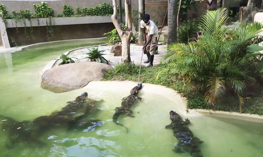 BioParque do Rio, antigo Jardim Zoológico, é inaugurado
