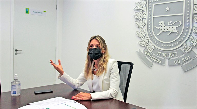 Consultora Legislativa Ana Carolina Ali Garcia destacou importância da revisão normativa