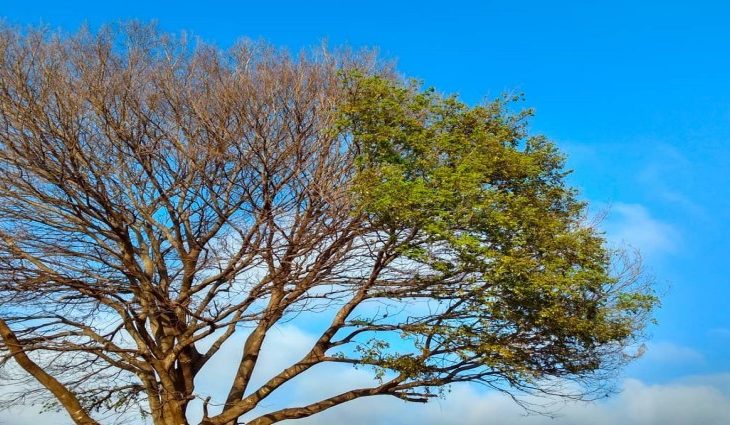 A semana de transição do verão para o outono será de tempo instável em Mato Grosso do Sul