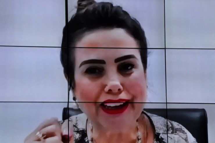Deputada Mara Caseiro é autora do projeto