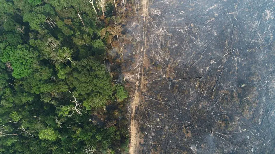 O presidente da França, Emmanuel Macron, afirmou nesta sexta-feira que seu país não importa mais soja que seja fruto do desmatamento, sobretudo na Amazônia