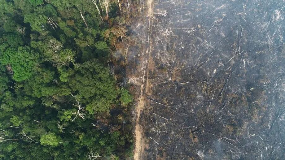 Na região da Amazônia Legal, foram identificados 368 quilômetros quadrados de área desmatada