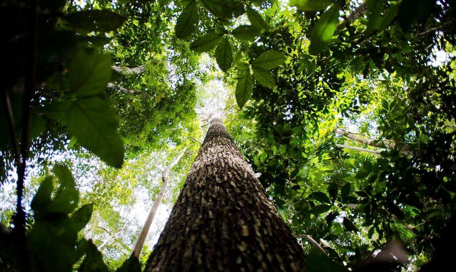 O Projeto foi desenvolvido para reforçar a missão ecológica e, principalmente, para promover a sustentabilidade da cidade