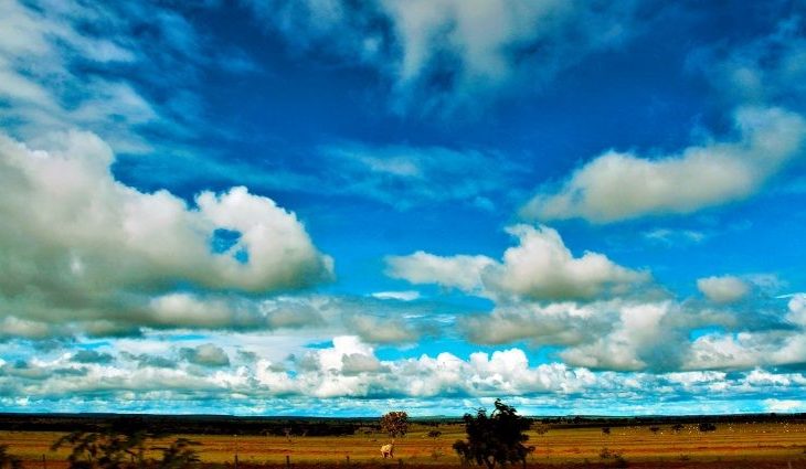 Segundo o comunicado, eles se comprometeram a trabalhar com os ministérios do Meio Ambiente dos países