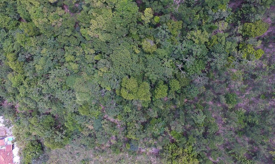 A Mata Atlântica, que em 2010 representava 42% da retirada de água do país, passou a 39% em 2017