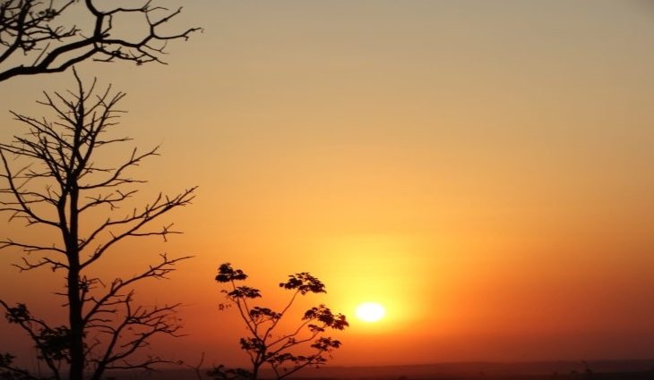 Cerca de 35 municípios de Mato Grosso do Sul estão sofrendo as consequências da baixa umidade intensa
