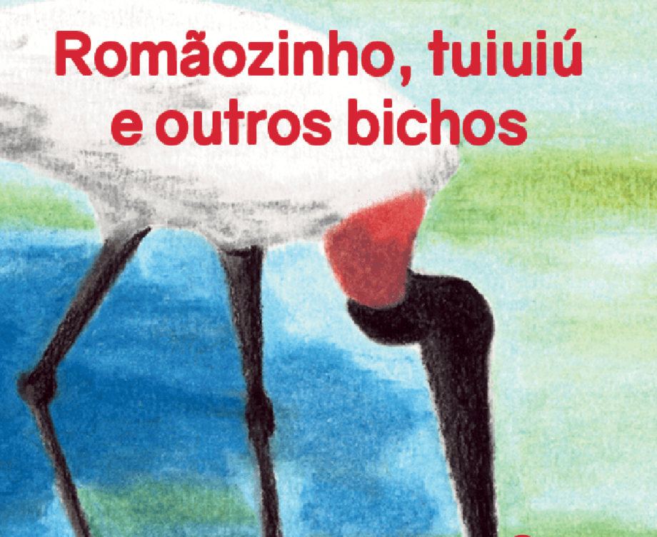 Capa do livro