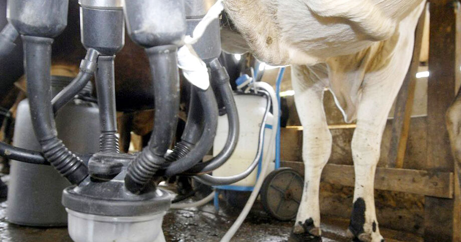 Conforme a última edição do Boletim Casa Rural, divulgado em 27 de maio, quanto maior o volume e a qualidade do leite, mais o produtor recebe pelo litro produzido
