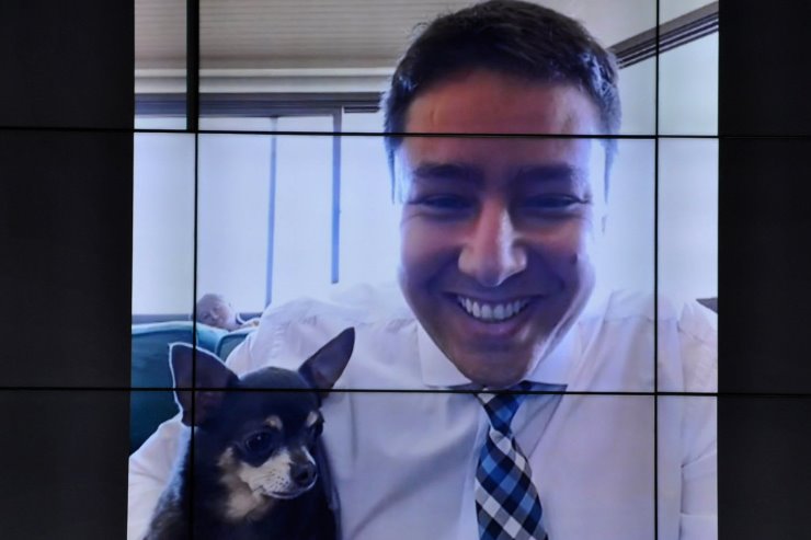 João Henrique acompanhou a sessão remotamente na companhia do seu animal de estimação