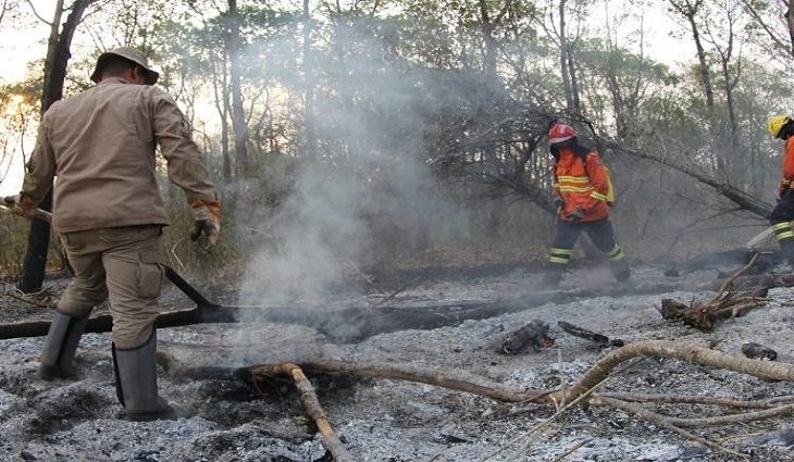 Corpo de Bombeiros faz alerta para prevenção de queimadas durante período de estiagem