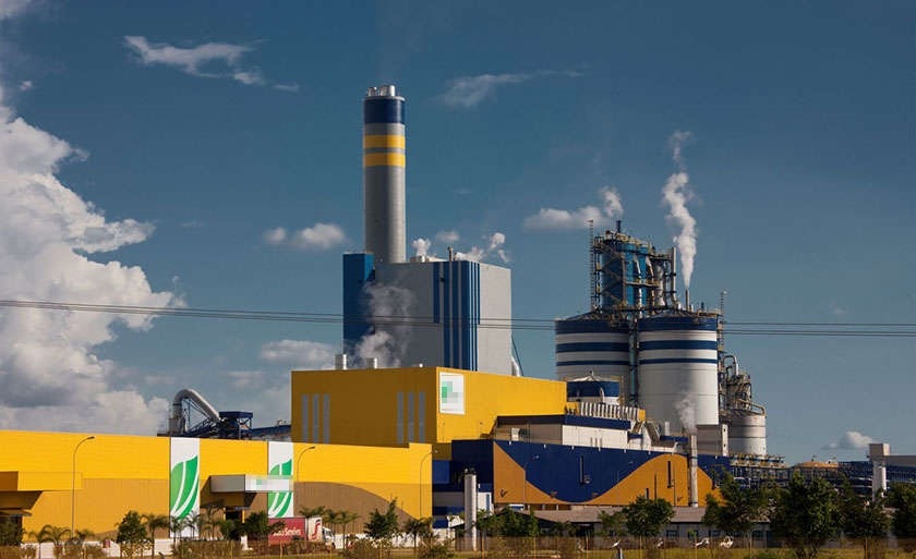 A indústria de papel e celulose Suzano