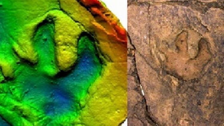 Modelo digital e foto de uma pegada fóssil de um pequeno dinossauro herbívoro