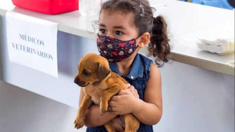 A ação tem o objetivo de oferecer um novo lar aos animai