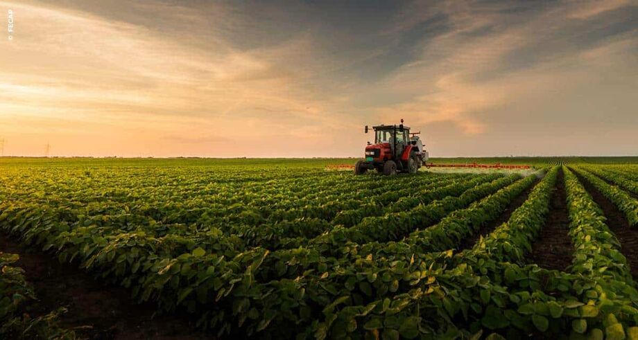 Agronegócio passou a indústria de transformação pela primeira vez