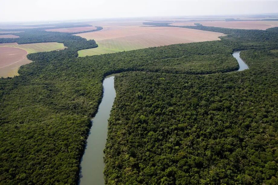 Vista aérea da Floresta Amazônica