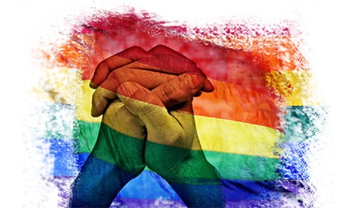 O Governo do Estado, por meio da Subsecretaria de Políticas Públicas LGBT, realiza nesta segunda-feira (03) o lançamento oficial da campanha Maio da Diversidade LGBT+ 2021