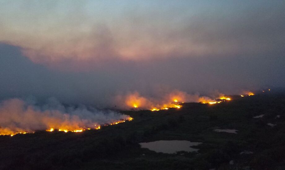 Incêndio no Pantanal