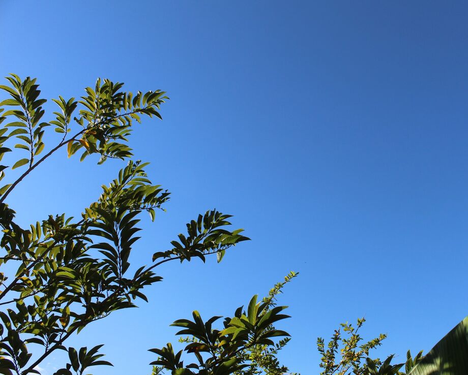 As condições de tempo serão parecidas com ontem, com predomínio de sol em todas as áreas e sem previsão de chuva