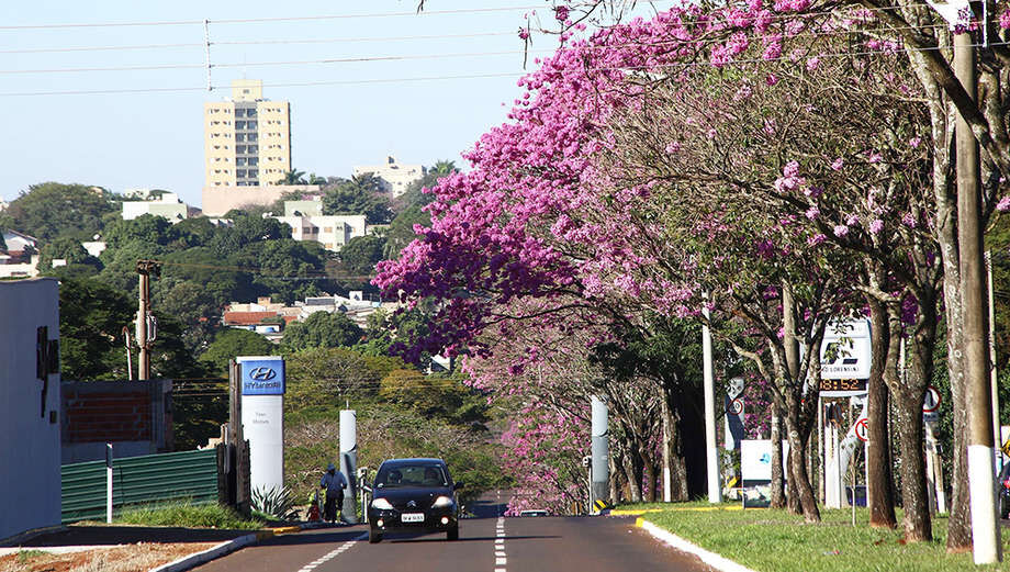 Cidade de Dourados