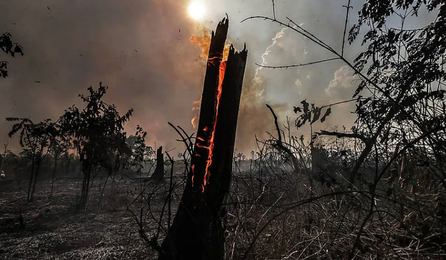 Queimada em Santo Antônio do Matupi, no sul do Amazonas