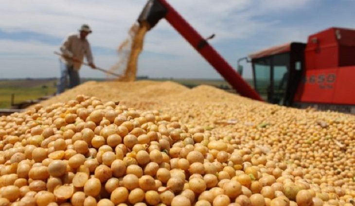 Esses resultados são puxados pelas vendas externas de soja e celulose.
