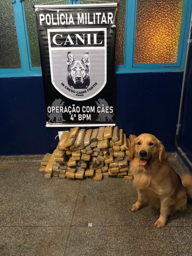 Droga apreendida