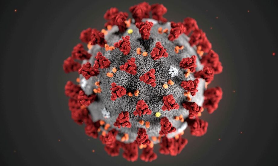 Estudo sugere que variante Delta pode causar mais reinfecções