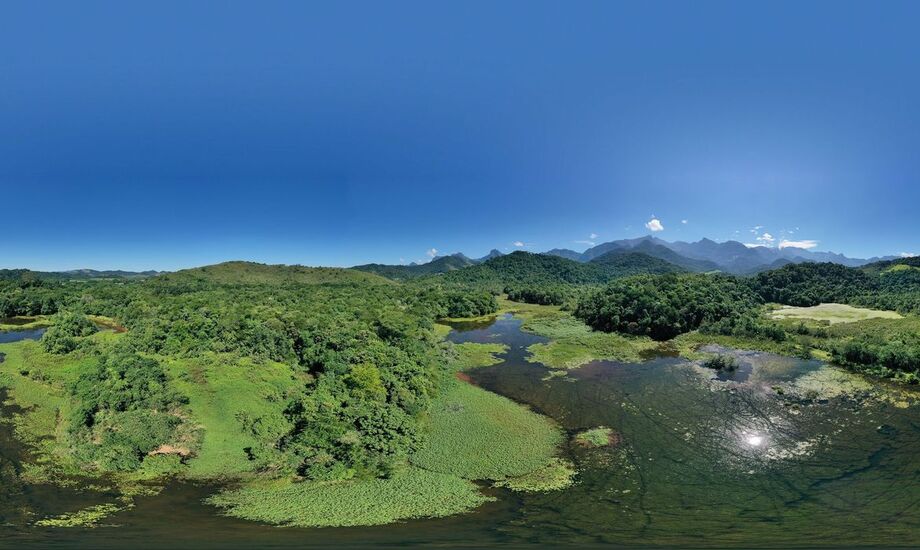 Bosque da Memória faz homenagem a vítimas da covid-19 no estado do Rio
