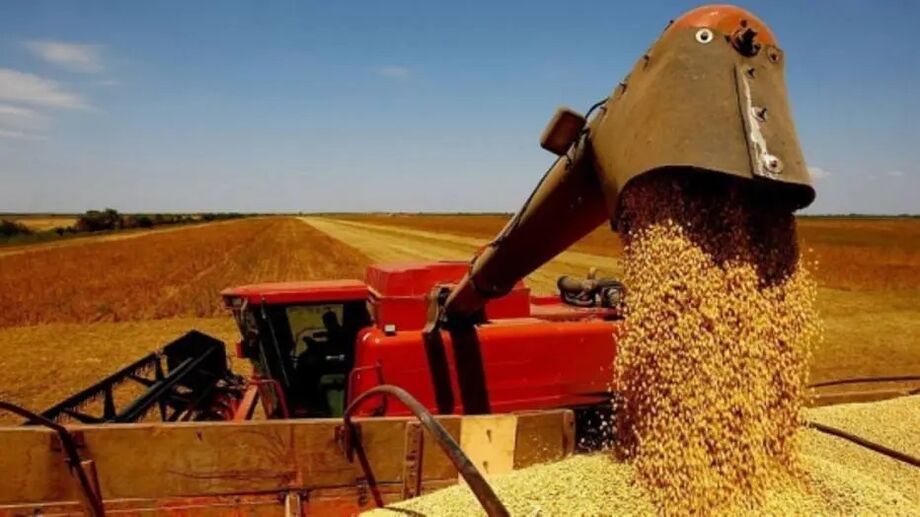 Plano safra: prioridade a pequenos e médios é ponto positivo, avalia Abag