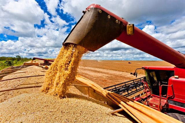 Os produtores brasileiros devem colher 68 milhões de hectares na safra agrícola de 2021