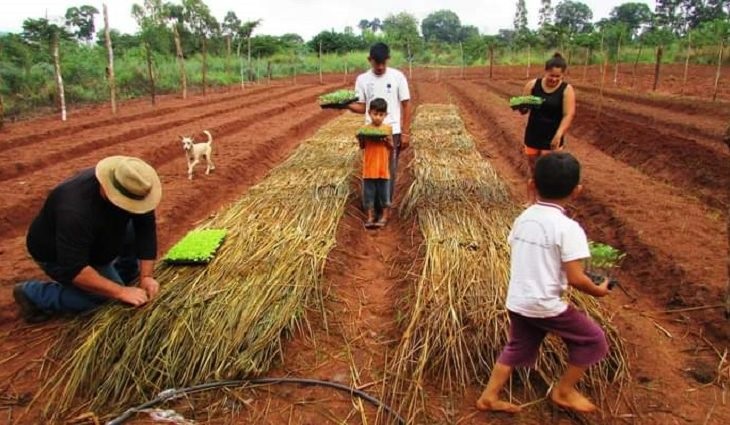 Os agricultores, sejam brancos ou índios, receberão apoio nas técnicas de plantio orgânico e agroecológico