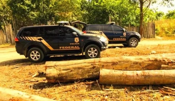 PF fez apreensão histórica de madeira na Operação Handroanthus GLO