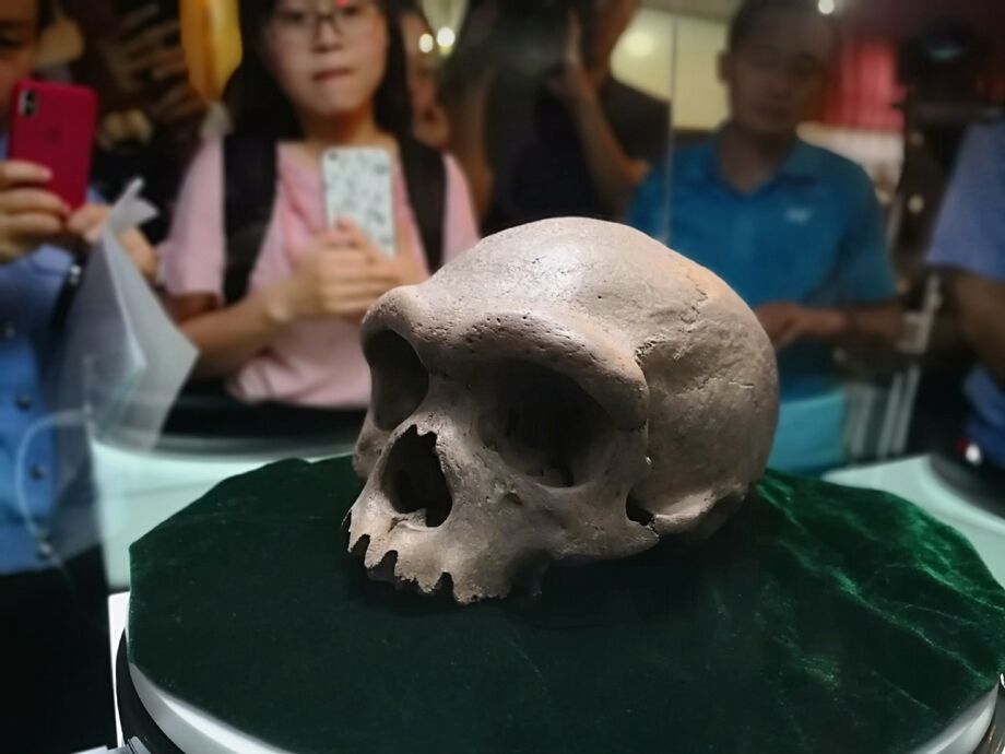 O fóssil pertence a uma das diferentes espécies humanas que coexistiram na Ásia
