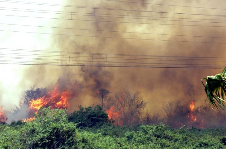Queimada no Pantanal em 2020