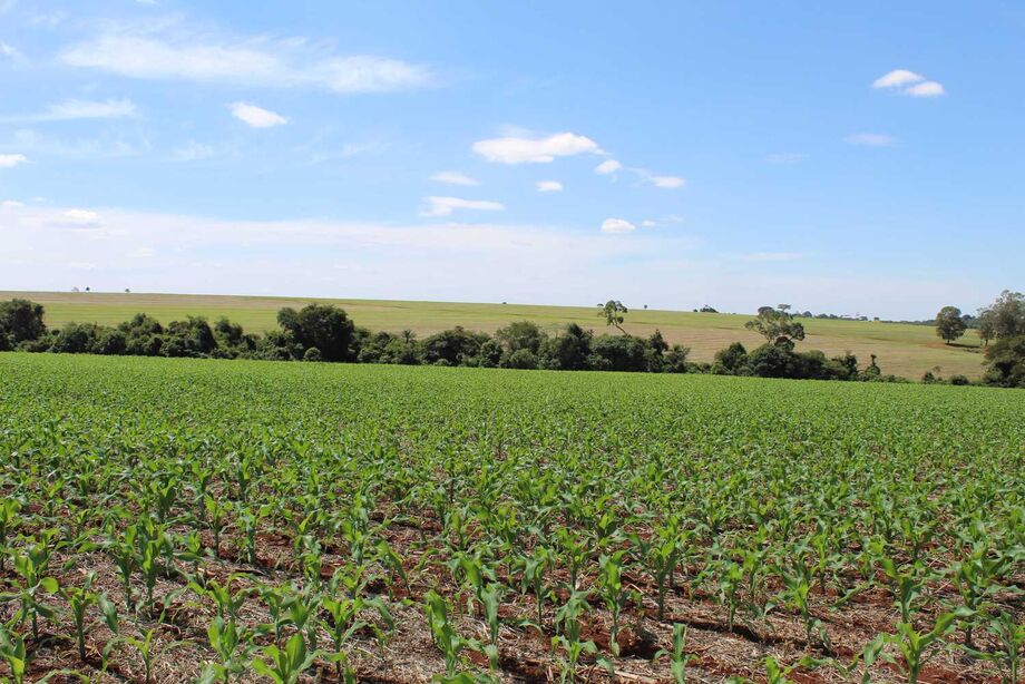A seleção dará prioridade para candidatos da zona rural
