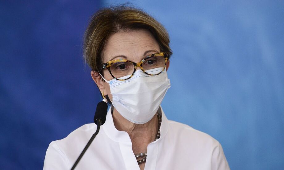 A ministra da Agricultura, Tereza Cristina