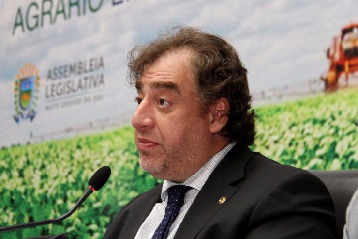 Neno Razuk, deputado estadual