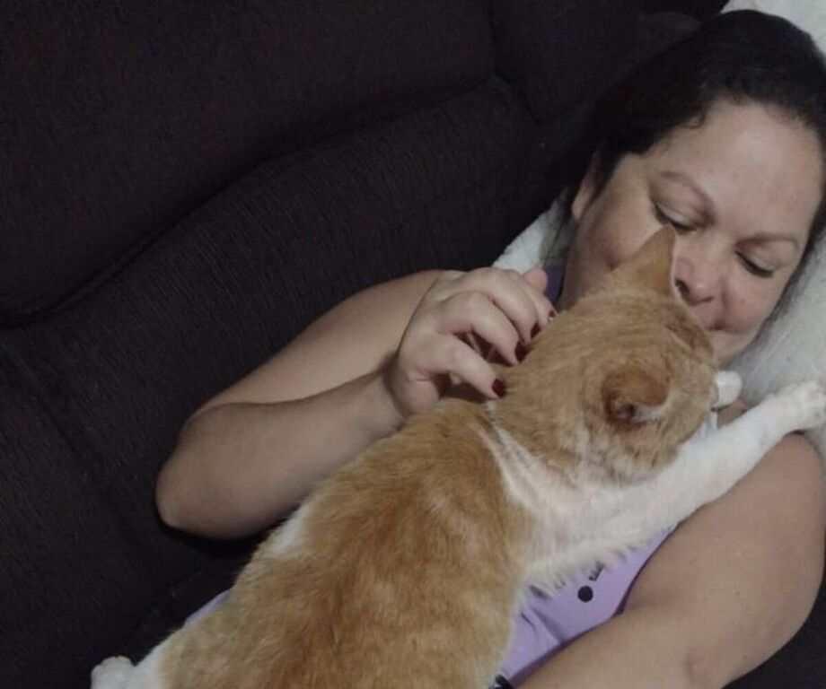 Papy e Amarelo, um de seus gatos resgatados